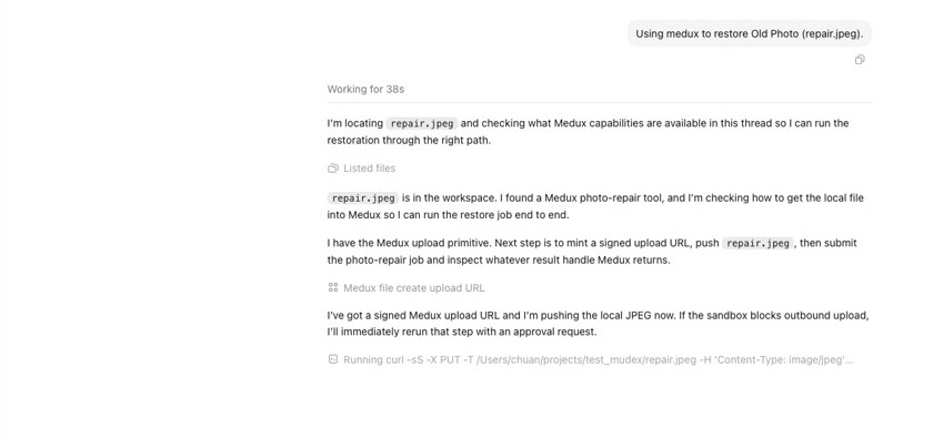 Codex creates a Medux upload URL and uploads repair.jpeg