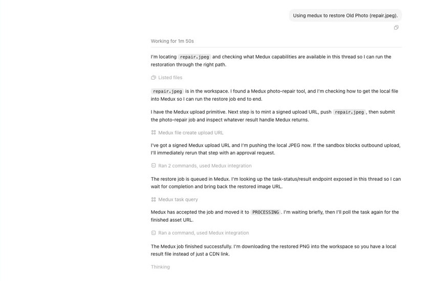 Codex downloads the completed Medux restoration result